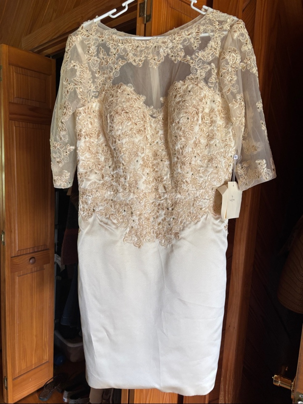 Embellished Ivory Lace Sheath Dress